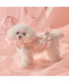 PET PARADISE cherircouture フリルカラーワンピース 小型犬