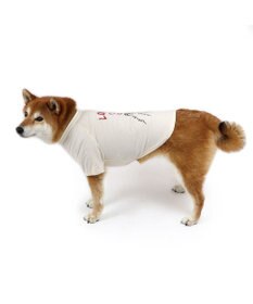 PET PARADISE ペットパラダイス Mai Kuraki　LOVE  ペットTシャツ 《ホワイト》 中型犬