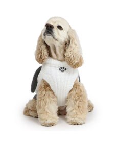 PET PARADISE スヌーピー  フェイス ニット 中型犬