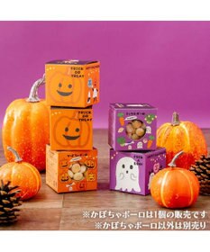 PET PARADISE ハロウィン かぼちゃＢＯＸ かぼちゃボーロ