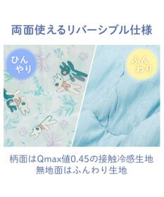 PET PARADISE リサとガスパール もちっと クール ブランケット 《海草柄》
