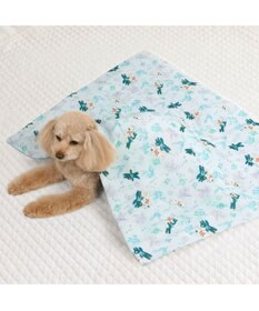 PET PARADISE リサとガスパール もちっと クール ブランケット 《海草柄》