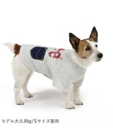 PET PARADISE Lee ワッフル Tシャツ 小型犬