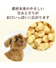 PET PARADISE 犬用 かぼちゃ入り ボーロ 小袋 80ｇ