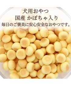 PET PARADISE 犬用 かぼちゃ入り ボーロ 小袋 80ｇ