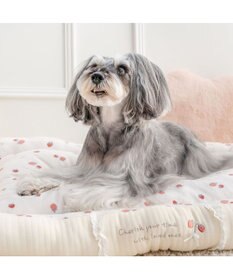 PET PARADISE ペットパラダイス カドラー 《花苺柄》　Ｌ