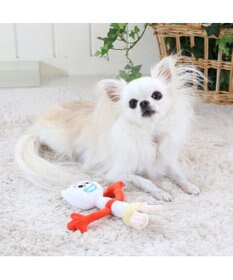 PET PARADISE ディズニー トイ・ストーリー フォーキー おもちゃ ロープトイ