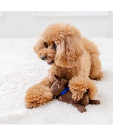 PET PARADISE リサとガスパール くたりトイ ガスパール