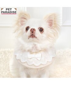 PET PARADISE ペットパラダイス フリル シュシュ スタイ 小型犬