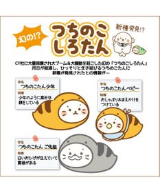 Mother garden つちのこ しろたん マスコット 《少年 / ベビー / ご先祖》 単品