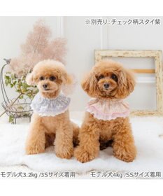 PET PARADISE ペットパラダイス チェック柄 スタイ 《ピンク》 小型犬