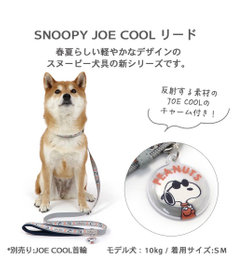 PET PARADISE 犬 スヌーピージョークール 反射 お揃い リード 【M~L】