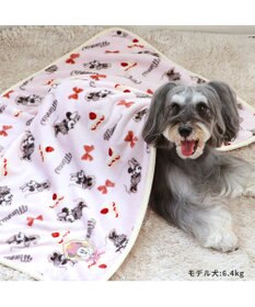 PET PARADISE ディズニー ミニー ケーキ ブランケット 90×60cm