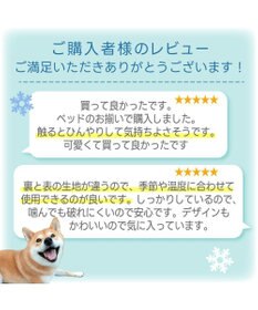 PET PARADISE ペットパラダイス  クールロールマット 《くまちゃん》