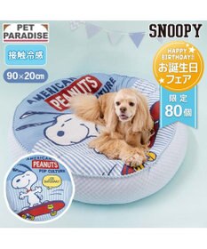 PET PARADISE 【8月初旬お届け】スヌーピー スケボークッション Ｌ
