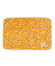 PET PARADISE スヌーピー ブランケット 《てくてく》