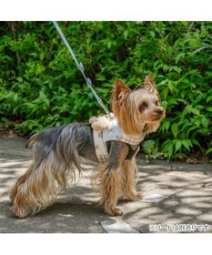 PET PARADISE ペットパラダイス くまちゃん クールベスト 小型犬