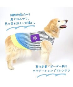 PET PARADISE 犬の服 夏 ひんやり クール メッシュ 接触冷感 虫よけ  グラデーション タンクトップ 【中型犬】【大型犬】クールマックスエコメイド