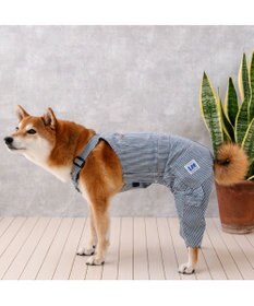 PET PARADISE Lee ヒッコリー オーバーオール 中型犬 大型犬