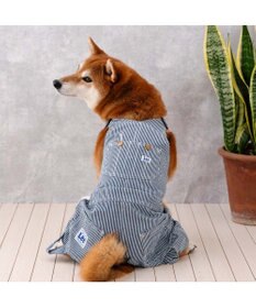 PET PARADISE Lee ヒッコリー オーバーオール 中型犬 大型犬