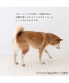 PET PARADISE ペットパラダイス makokoro スリット 靴下  《ボーダー》 SM 中型犬