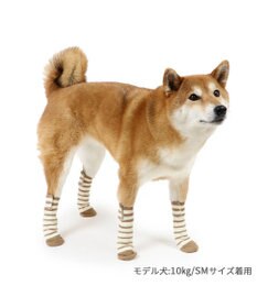 PET PARADISE ペットパラダイス makokoro スリット 靴下  《ボーダー》 SM 中型犬