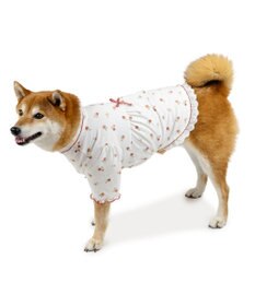PET PARADISE ペットパラダイス ペティヒート天竺 Tシャツ 《いちご》 中型犬 大型犬