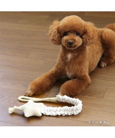 PET PARADISE ペットパラダイス 引っ張り トイ 《雲/星》