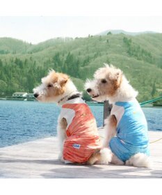 PET PARADISE Ｌｅｅ つなぎ風  ロンパース 【小型犬】《ブルー/オレンジ》クールマックスエコメイド