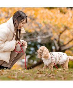 PET PARADISE ペットパラダイス 苺刺繍 アウターハーネス 小型犬