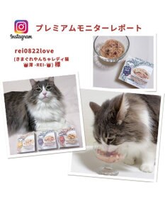 PET PARADISE キャットフード ウェット 缶 まぐろほぐし 75ｇ  《しらす/ 紅鮭/ ほたて》単品