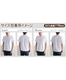 Mother garden 【ネット店限定】しろたん Tシャツ 半袖  《散！磁力柄》 黒色　S/M/L/XL レディース メンズ ユニセックス 男女兼用  コットン 綿  あざらし アザラシ かわいい キャラクター 半袖Ｔシャツ マザーガーデン 父の日ギフト