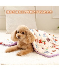 PET PARADISE ディズニー ズートピア もちっと ボア ブランケット
