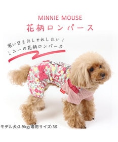 犬の服 犬 ディズニー ミニーマウス パーカー 【小型犬