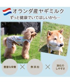 PET PARADISE ペットパラダイス オランダ産 ヤギミルク  ペット用