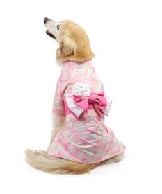 即納✨犬の浴衣 犬用本格浴衣 M 青紫×朝顔柄 Kansai 犬服 ゆかた 即納✨犬の浴衣 犬用本格浴衣 M 青紫×朝顔柄 Kansai 犬