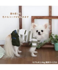 PET PARADISE ペットパラダイス 縞のびのびリブＴシャツ 小型犬