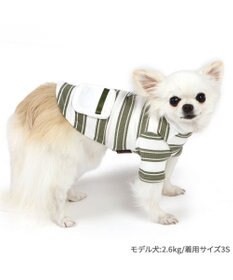 PET PARADISE ペットパラダイス 縞のびのびリブＴシャツ 小型犬
