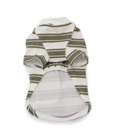 PET PARADISE ペットパラダイス 縞のびのびリブＴシャツ 小型犬