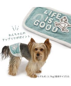 PET PARADISE 犬 服 マナーベルト マナーウエア 【小型犬】 くま柄 らくがき柄