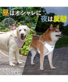 PET PARADISE ペットパラダイス 超反射切り替え ハーネス＆リード Ｍ 《ピンク》