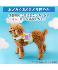 PET PARADISE ディズニー トイ・ストーリー バズ ベストハーネス Ｓ