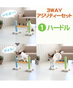 PET PARADISE 犬 トイ TOY ペットパラダイス アジリティ セット 訓練 ドッグアジリティ トレーニング