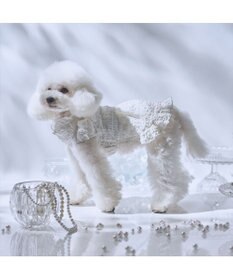 PET PARADISE cherircouture くしゅくしゅ ワンピース 小型犬