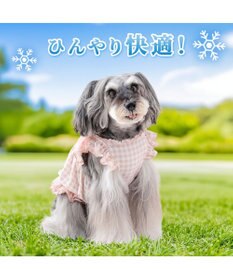 PET PARADISE ディズニー ミニーマウス 背中開き クールキャミソール 小型犬