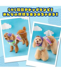 PET PARADISE ディズニー トイ・ストーリー バズ 保冷付き帽子 ＳＭ 中型犬