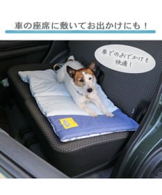 PET PARADISE ディズニー トイ・ストーリー クールロールマット (90×45cm)