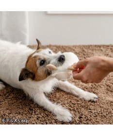 PET PARADISE ペットパラダイス 干支未 おやすみ トイ