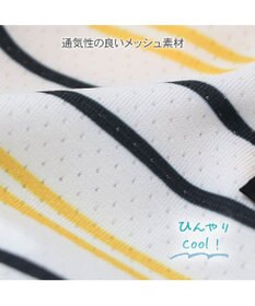 PET PARADISE Lee エコメイド 彩ボーダー タンクトップ 中型犬 大型犬