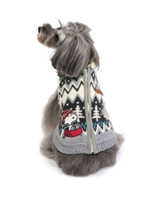 PET PARADISE スヌーピー 背中開き ニット雪遊び柄 《グレー》 小型犬